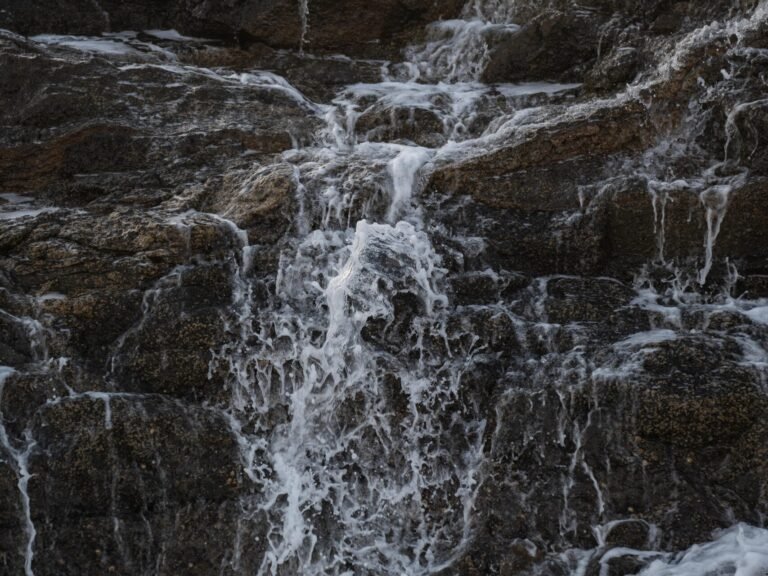 Sustainability – Help to keep Fuerteventura clean