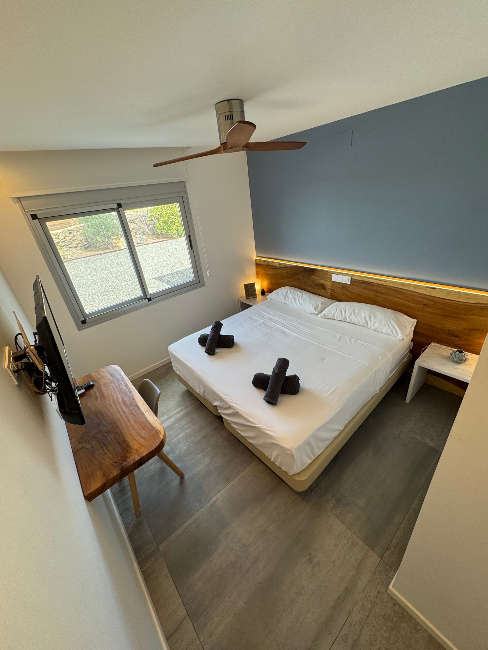 Photo 23.02.2025, 11 46 12